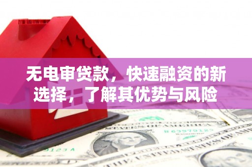 胶州无电审贷款，快速融资的新选择，了解其优势与风险