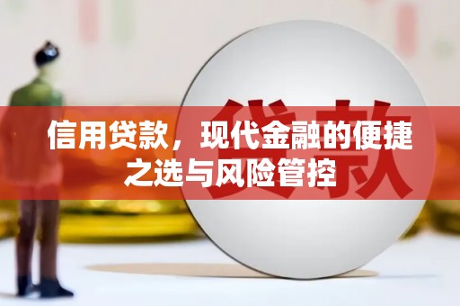 胶州信用贷款，现代金融的便捷之选与风险管控