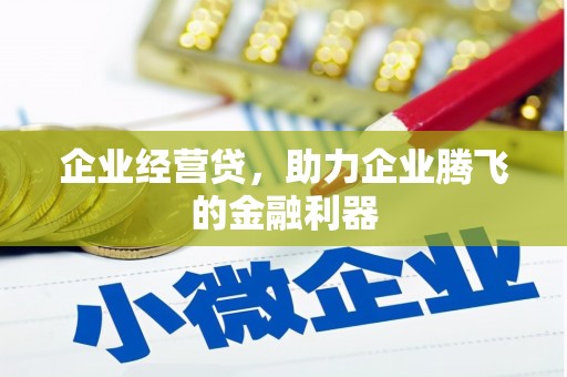胶州企业经营贷，助力企业腾飞的金融利器