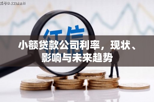 胶州小额贷款公司利率，现状、影响与未来趋势