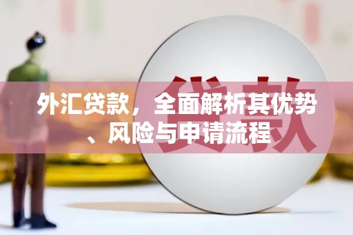 胶州外汇贷款，全面解析其优势、风险与申请流程