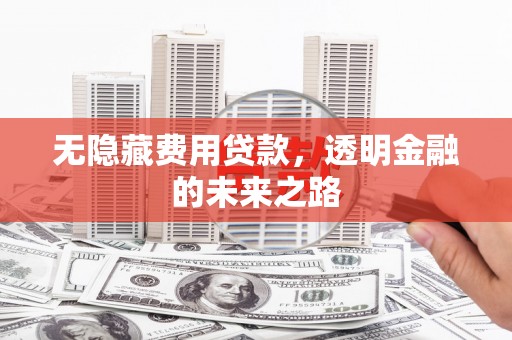 胶州无隐藏费用贷款，透明金融的未来之路