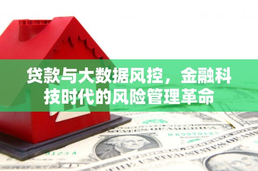 胶州贷款与大数据风控，金融科技时代的风险管理革命