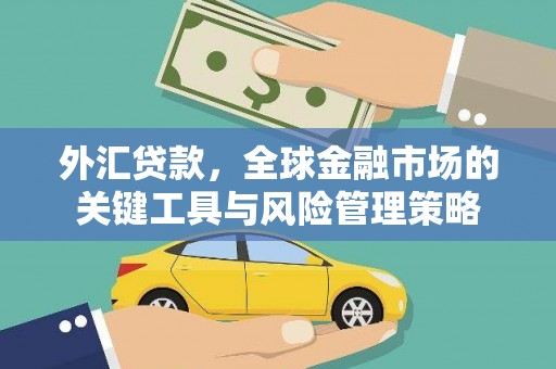 胶州外汇贷款，全球金融市场的关键工具与风险管理策略