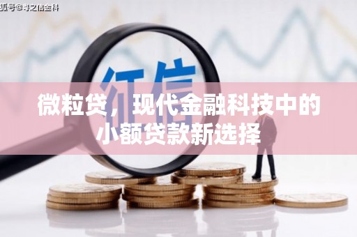 胶州微粒贷，现代金融科技中的小额贷款新选择