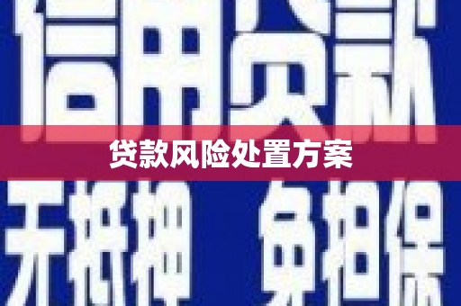 胶州贷款风险处置方案