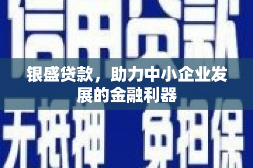 胶州银盛贷款，助力中小企业发展的金融利器