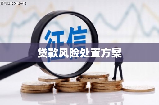 胶州贷款风险处置方案