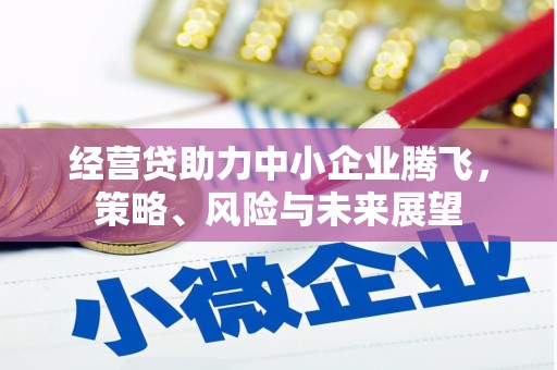 胶州经营贷助力中小企业腾飞，策略、风险与未来展望