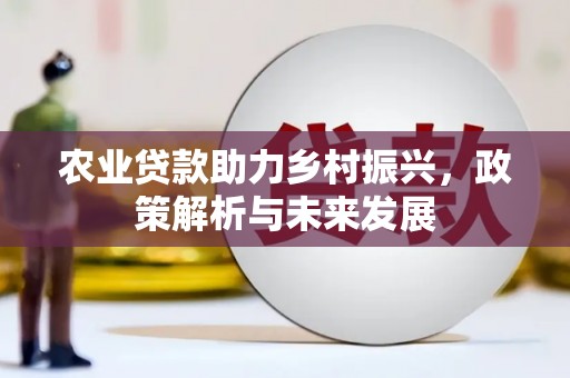 胶州农业贷款助力乡村振兴，政策解析与未来发展