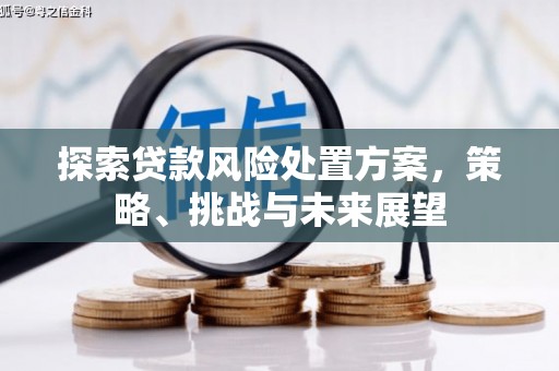 胶州探索贷款风险处置方案，策略、挑战与未来展望
