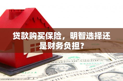 胶州贷款购买保险，明智选择还是财务负担？