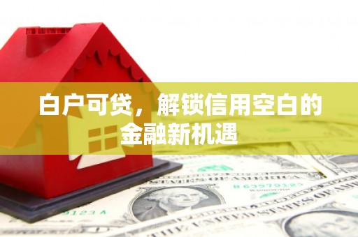 胶州白户可贷，解锁信用空白的金融新机遇