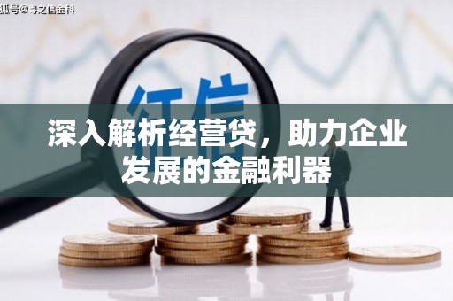 胶州深入解析经营贷，助力企业发展的金融利器