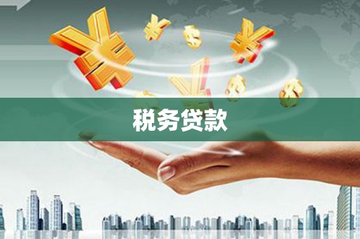 胶州税务贷款