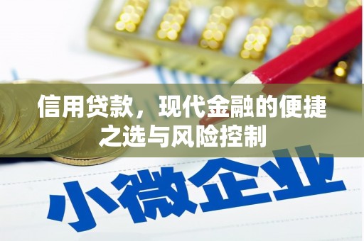 胶州信用贷款，现代金融的便捷之选与风险控制