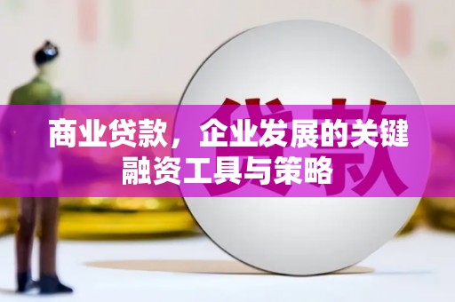 胶州商业贷款，企业发展的关键融资工具与策略