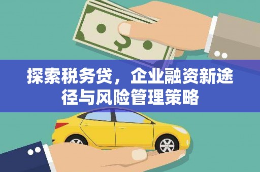 胶州探索税务贷，企业融资新途径与风险管理策略