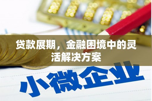 胶州贷款展期，金融困境中的灵活解决方案