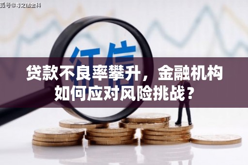 胶州贷款不良率攀升，金融机构如何应对风险挑战？