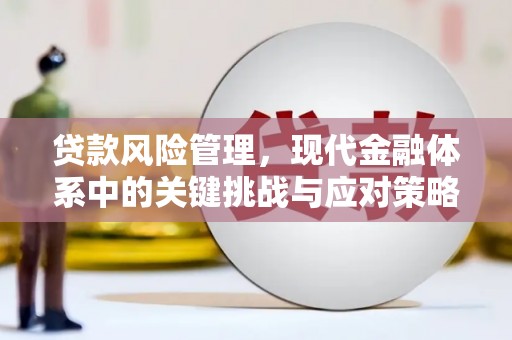 胶州贷款风险管理，现代金融体系中的关键挑战与应对策略