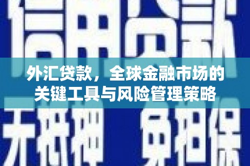 胶州外汇贷款，全球金融市场的关键工具与风险管理策略