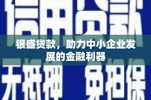 胶州银盛贷款，助力中小企业发展的金融利器