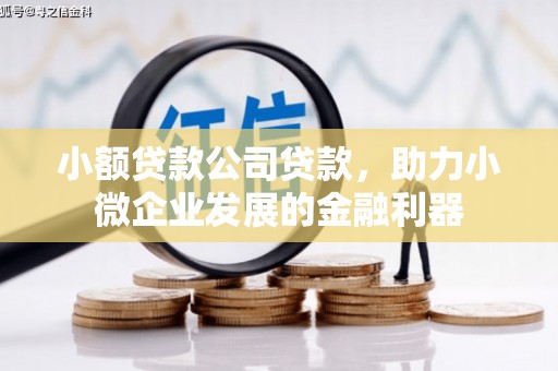 胶州小额贷款公司贷款，助力小微企业发展的金融利器