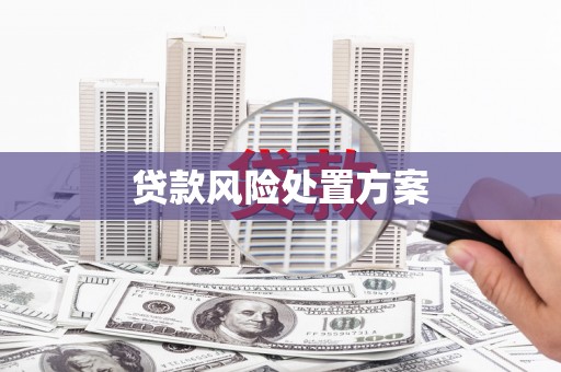 胶州贷款风险处置方案