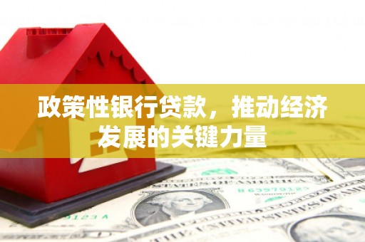 胶州政策性银行贷款，推动经济发展的关键力量