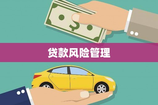 胶州贷款风险管理