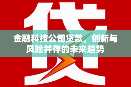 胶州金融科技公司贷款，创新与风险并存的未来趋势