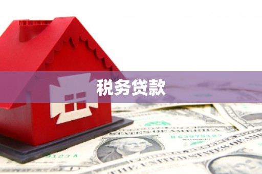 胶州税务贷款