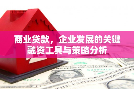 胶州商业贷款，企业发展的关键融资工具与策略分析
