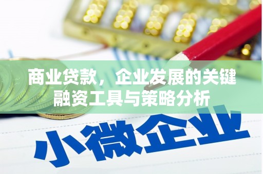 胶州商业贷款，企业发展的关键融资工具与策略分析