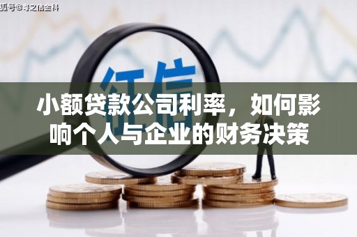 胶州小额贷款公司利率，如何影响个人与企业的财务决策