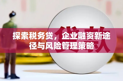 胶州探索税务贷，企业融资新途径与风险管理策略