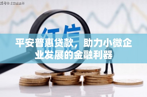 胶州平安普惠贷款，助力小微企业发展的金融利器