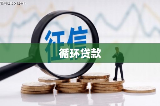 胶州循环贷款