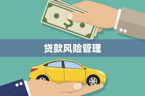 胶州贷款风险管理