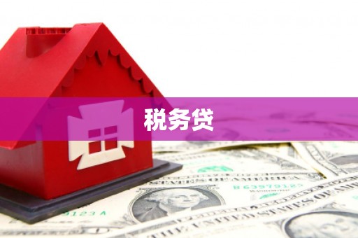 胶州税务贷