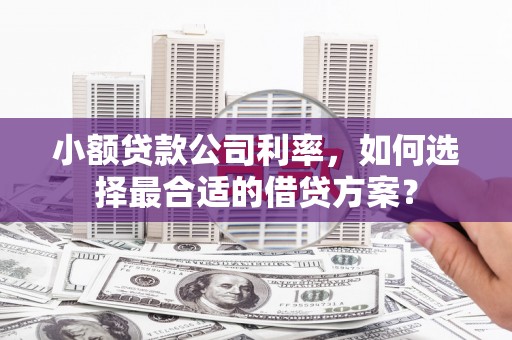 胶州小额贷款公司利率，如何选择最合适的借贷方案？