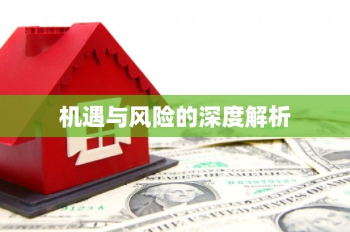 胶州机遇与风险的深度解析