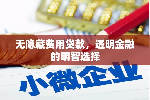 胶州无隐藏费用贷款，透明金融的明智选择