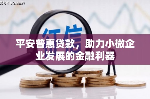 胶州平安普惠贷款，助力小微企业发展的金融利器