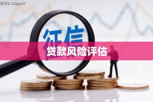 胶州贷款风险评估