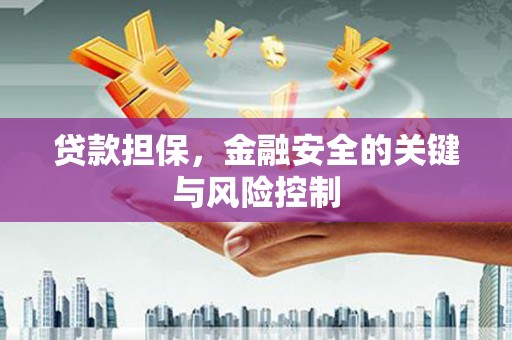 胶州贷款担保，金融安全的关键与风险控制