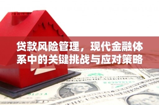 胶州贷款风险管理，现代金融体系中的关键挑战与应对策略