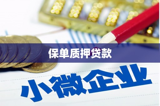 胶州保单质押贷款