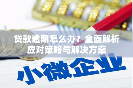 胶州贷款逾期怎么办？全面解析应对策略与解决方案